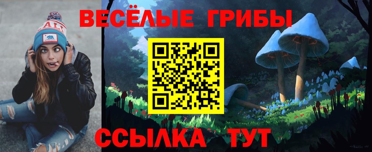 Галлюциногенные грибы MAGIC MUSHROOMS  Галлюциногенные грибы GOLDEN TEACHER  Тверь  Вход с VPN 